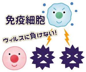 免疫力アップする漢方